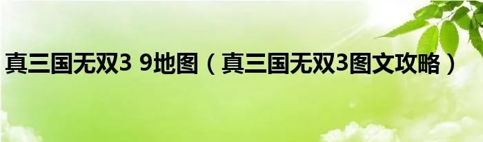 真三国无双3 9地图（真三国无双3图文攻略）