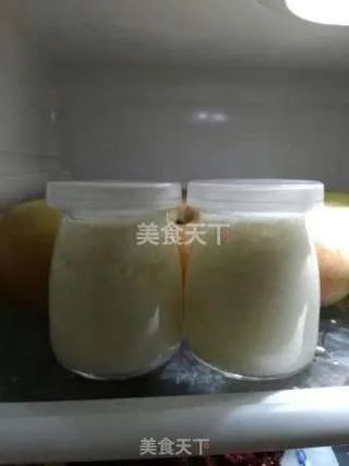 自制老酸奶