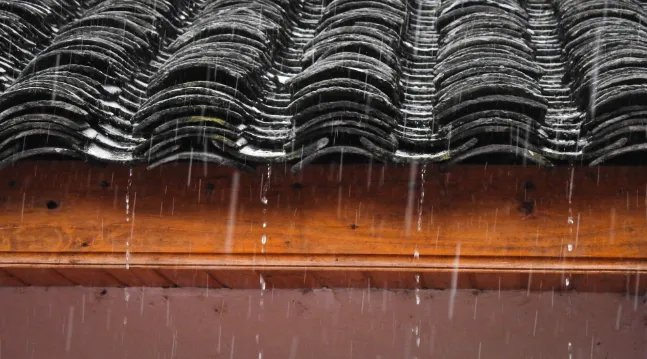2020年梅雨季节是什么时候 今年梅雨季节什么时候结束