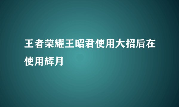 王者荣耀王昭君使用大招后在使用辉月