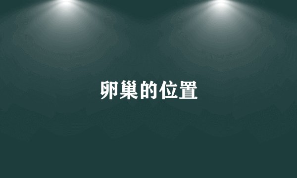卵巢的位置
