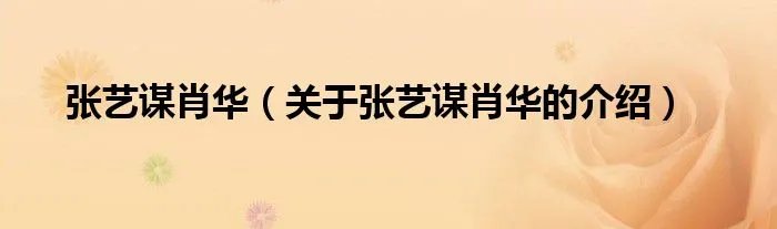 张艺谋肖华（关于张艺谋肖华的介绍）