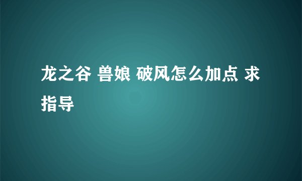 龙之谷 兽娘 破风怎么加点 求指导
