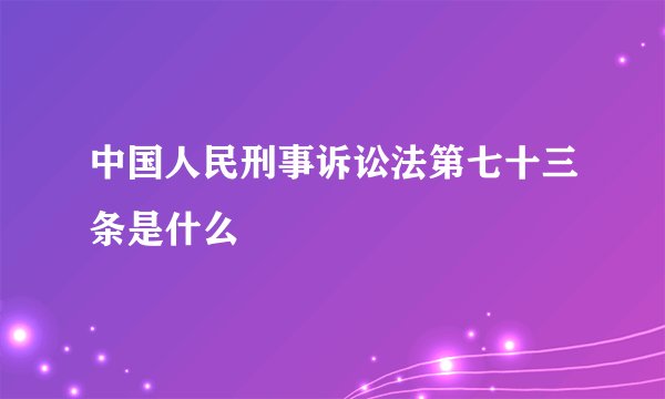 中国人民刑事诉讼法第七十三条是什么