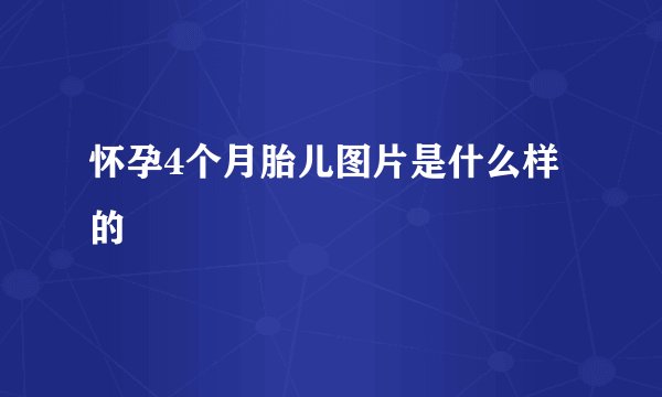怀孕4个月胎儿图片是什么样的