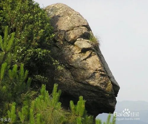 福州鼓岭景点游玩攻略