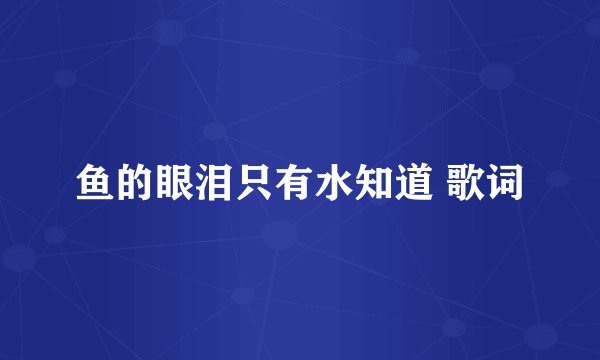 鱼的眼泪只有水知道 歌词