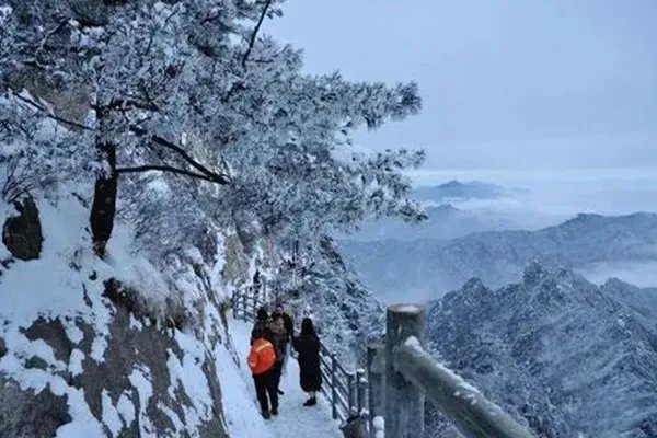 河南十月飘起鹅毛大雪,为何东北还没下雪河南先下了?