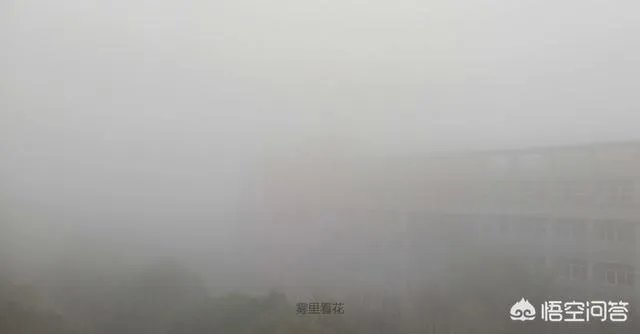 对于南京连续几天的大雾天气,应该如何保护自己?到底是霾还是雾?
