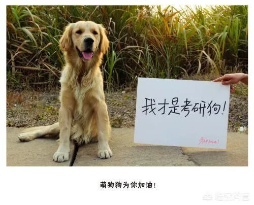 美术考研难吗？