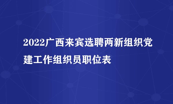 2022广西来宾选聘两新组织党建工作组织员职位表