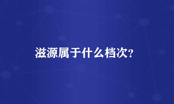滋源属于什么档次？