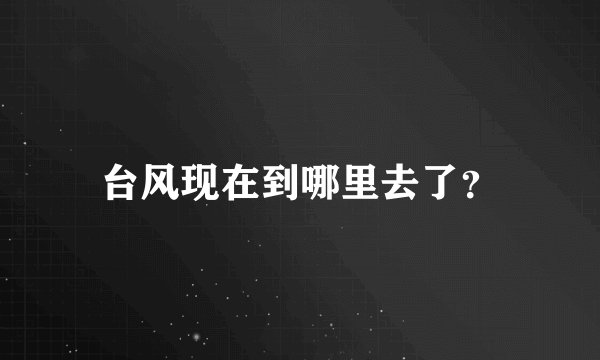 台风现在到哪里去了?