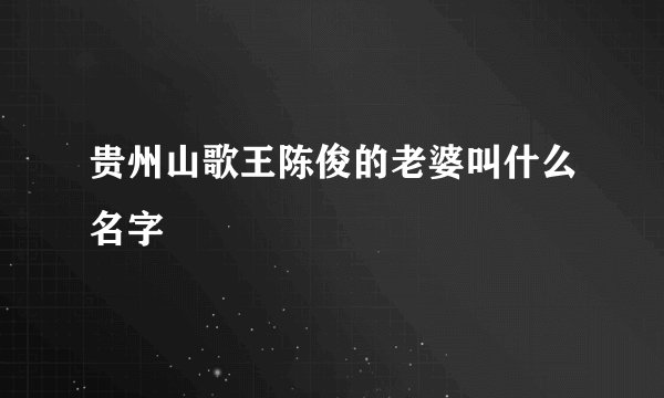 贵州山歌王陈俊的老婆叫什么名字