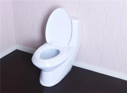 抽水马桶结构图介绍  抽水马桶的选购技巧
