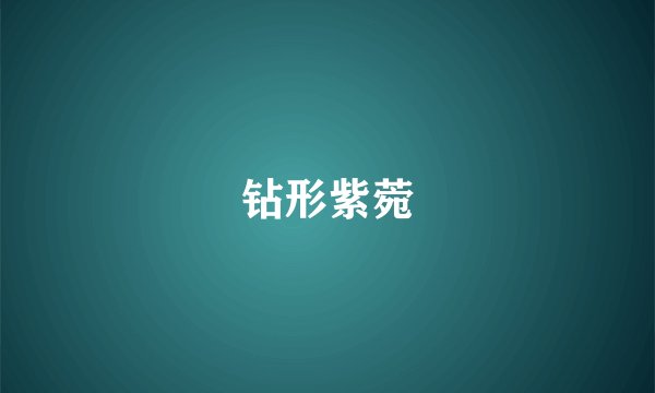 钻形紫菀