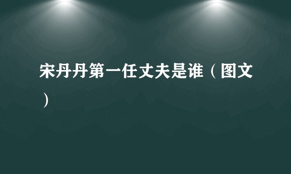 宋丹丹第一任丈夫是谁（图文）