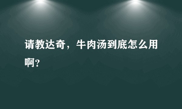 请教达奇，牛肉汤到底怎么用啊？