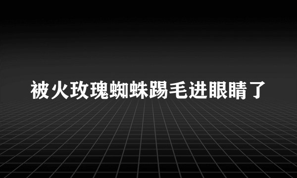 被火玫瑰蜘蛛踢毛进眼睛了