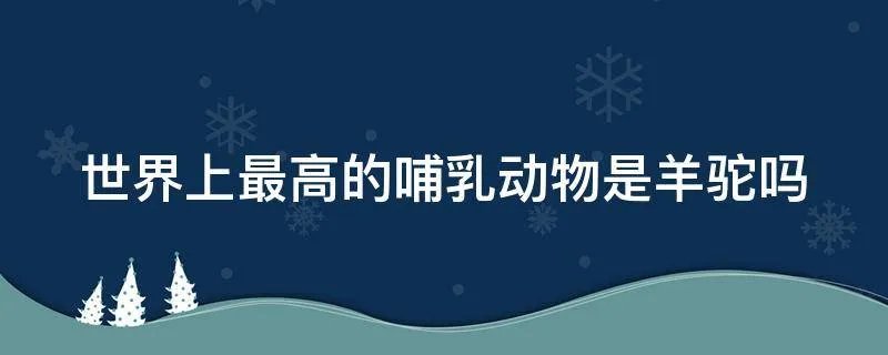 世界上最高的哺乳动物是羊驼吗