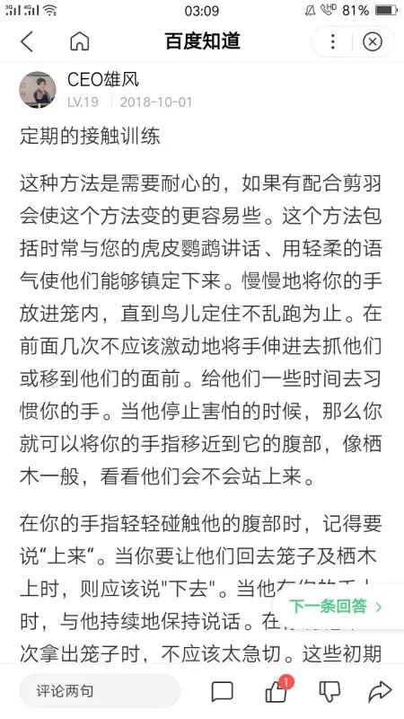 如何训练出一只听话的宠物鸽子?