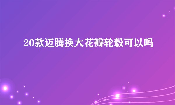 20款迈腾换大花瓣轮毂可以吗