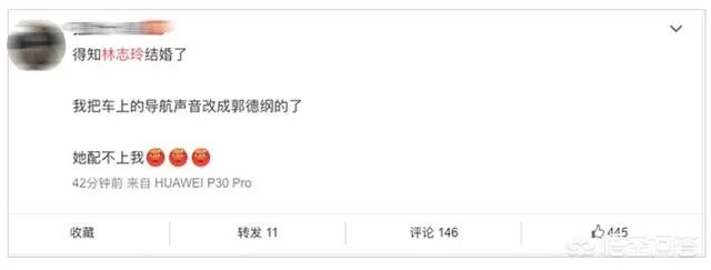 志玲结婚,一位大叔将导航语音换成郭德纲,你怎么看?