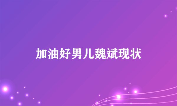 加油好男儿魏斌现状