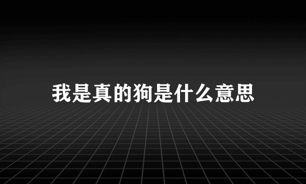 我是真的狗是什么意思