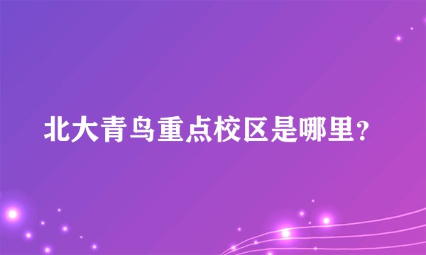 北大青鸟重点校区是哪里？