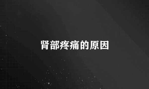 肾部疼痛的原因