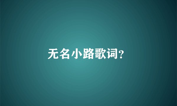 无名小路歌词？