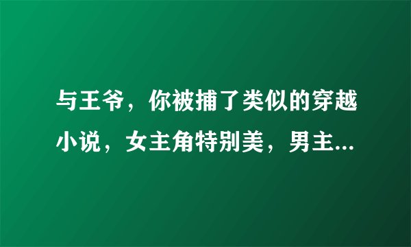 与王爷，你被捕了类似的穿越小说，女主角特别美，男主角超级帅（受很多女人的喜欢），而男主只喜欢女主。