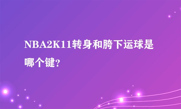 NBA2K11转身和胯下运球是哪个键？