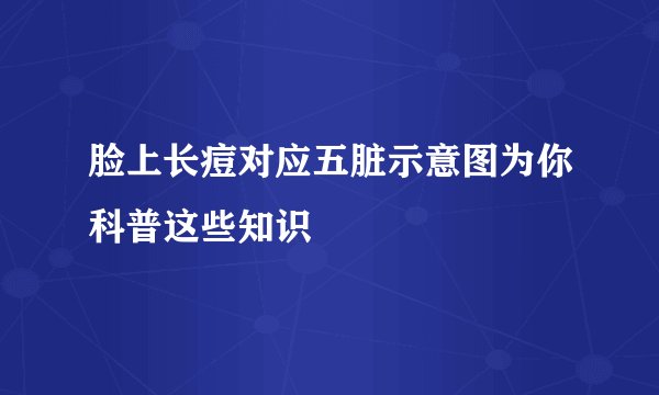 脸上长痘对应五脏示意图为你科普这些知识