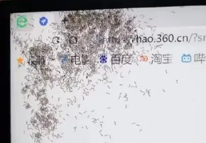 海口女子电脑误被洒奶茶蚂蚁屏内筑巢,是电脑的设计有问题吗?