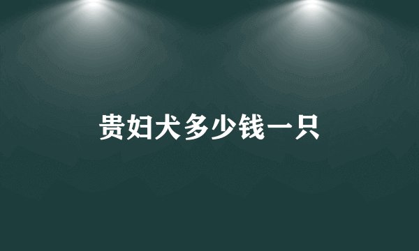 贵妇犬多少钱一只