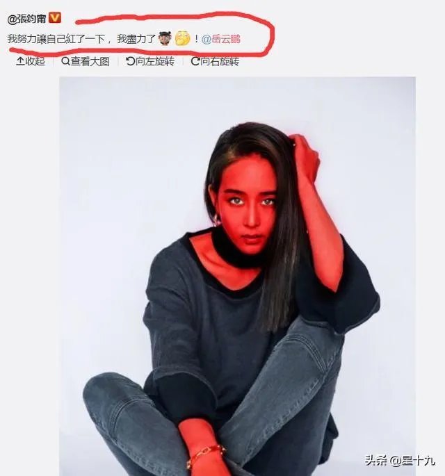 岳云鹏在《极限挑战》节目中失言说张钧甯不红，对此你的看法是什么？