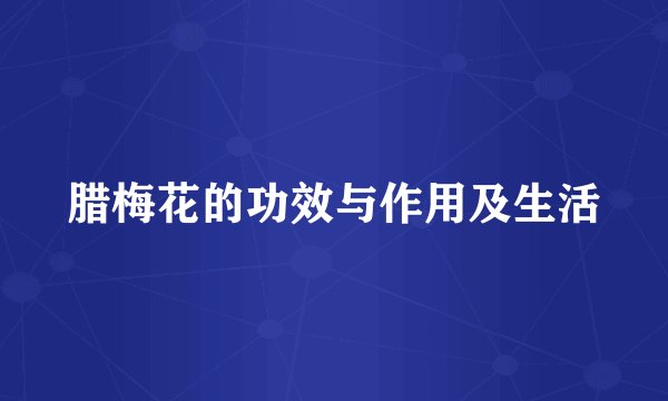 腊梅花的功效与作用及生活