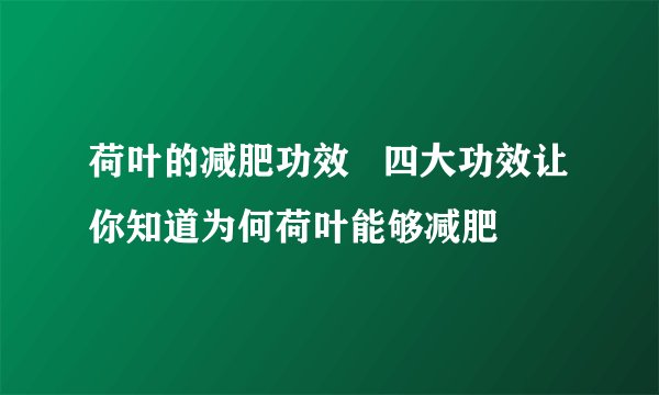 荷叶的减肥功效   四大功效让你知道为何荷叶能够减肥