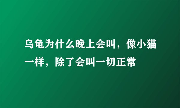 乌龟为什么晚上会叫，像小猫一样，除了会叫一切正常
