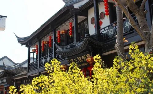 上海周边自驾游有哪些路线?可以说说吗?