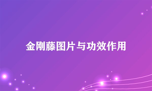 金刚藤图片与功效作用
