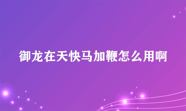 御龙在天快马加鞭怎么用啊