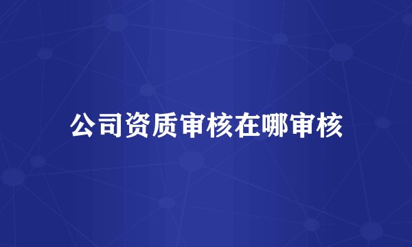 公司资质审核在哪审核