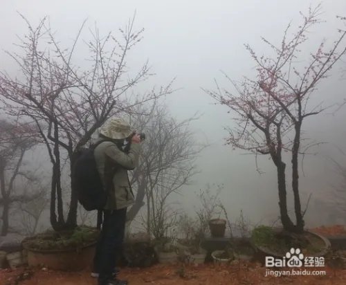 福州鼓岭景点游玩攻略