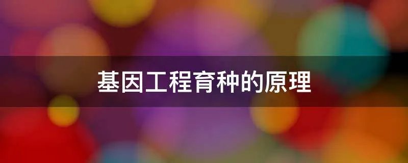 基因工程育种的原理