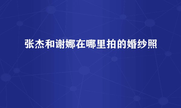 张杰和谢娜在哪里拍的婚纱照
