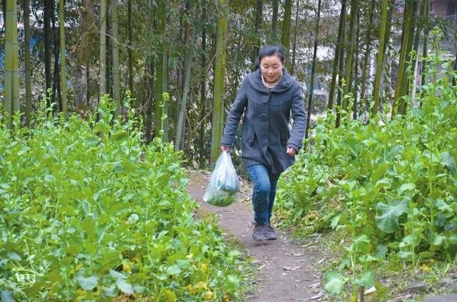 15岁“奔跑女孩”每天4次回家为瘫痪父亲做饭,你怎么看?