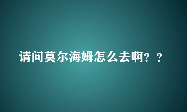 请问莫尔海姆怎么去啊？？